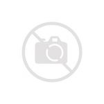 Parker Stylo plume IM SE - gris
