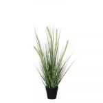 Mica Decorations Dogtail gras vert artificiel ø30 x h.53 cm en pot ø10 cm