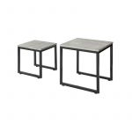 Sobuy FBT42-HG Tables Basses Gigognes - Set de 2 - Lot de 2 Tables d'Appoint Empilables Tables Carrée Table Basse