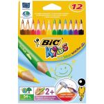 Bic 829735 - 12 Crayons de couleur Evolution assortis
