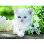 Ravensburger Puzzle Chaton blanc 1500 pièces