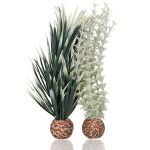 Biorb Ambulia grise/verte M