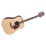 Takamine GD93 NATURAL