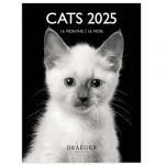 Petit Calendrier Mural 14x18 cm - 2025 - Draeger Paris
