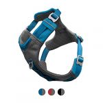 Kurgo Harnais pour Chiens Journey Air, pour la randonnée, courir et marcher tous les jours, réfléchissant – Bleu/gris - Taille XL