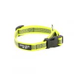 Julius K9 Julius-K9, Collier Color & Gray, 20 mm (27-42 cm), Néon-Gris