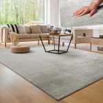 Paco Home - Tapis de salon Unicolore Lavable Pile courte et douce 60x100 cm, Argent