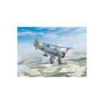 ICM 32015 MAQUETTE HS 123A-1 (LATE), WWII GERMAN ATTACK AIRCRAFT (100% NEW MOLDS) 1/32 1/32 - Maquette d'avion 32015