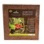 Reptiles Planet D&eacute;cor de fond Jungle Coco background (40 x 40 x 1 cm)