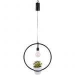 The home deco factory Suspension LED d&eacute;corative avec plante Garden - H. 35 cm - Diam. 30 x 32 - Noir