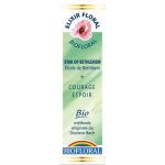 Biofloral Elixir  Etoile de Bethléem n°29