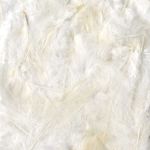 Artémio Plumes colorées 10 g Blanc