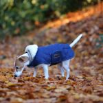 Kentucky Dogwear couverture pour chien 160g - Marine