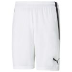 Puma Teamliga Short Unisexe Adulte