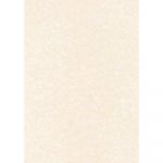 Papiers structure DECAdry PCL 1602 parchemin gris chaud 100F