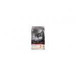 Purina Croquettes pour chat adulte au poulet Pro plan 10 kg