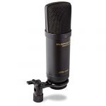 Marantz Professional MPM1000U Microphone à Condensateur Cardioïde USB pour Podcast ou Enregistrement avec Micro Clip et Câble USB pour Youtubeur, Blogueur, Podcast, Chants et Instruments, Noir