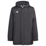 Adidas Unisex Kids Jacket (Filled Heavyweight) Entrada 22 Stadium Jacket, Black, IB6078, 140