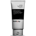 Anthony Oil Free Facial Lotion