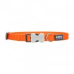 RedDingo Collier pour Chien Orange 24-37 cm 15 mm