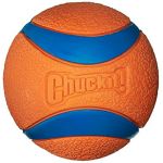Chuckit Ultra Ball Jouet pour Chien Adulte, Taille L