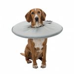 Trixie Collier de protection pour animaux de compagnie XS 13 cm