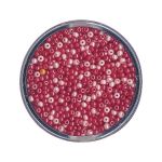 Rayher Perles de rocaille nacrées - 2,6 mm - teintes vertes