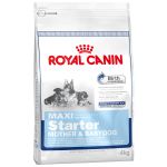 Royal Canin Maxi Starter - Sac 15 kg