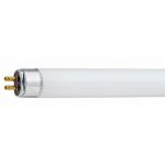 Osram Tube fluorescent T5 court - culot G5 - 8 watts - 395 lumens - 3000 &deg;K O