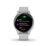 Garmin Montre connect&eacute;e Venu 2S Silver avec bracelet gris clair