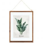Atmosphera Cadre en verre -feuilles- 38 x 48 cm Musa Beccarii