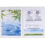 Exacompta 38060E - Sachet de 10 étuis doubles polypro A4, format 210x297 (4 faces)