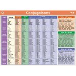 Mini poster le petit Nicolas conjugaison