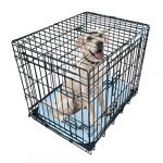 Ellie-Bo Cage de Luxe pour Chiens et Chiots, Cage Pliable à 2 Portes Avec Tapis en Fausse Peau de Mouton (Taille S, 61 cm, Noir)