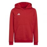 Adidas Mixte enfant Ent22 HOODY, Tepore, 176 EU
