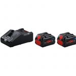 Bosch Starter kit avec 2 batteries Procore 18V 8Ah + chargeur GAL 18V-160 en bo&icirc;te en carton - 1600A02T5P