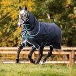 Couverture d'extérieur pour cheval avec couvre-cou Horseware Amigo 1200D Plus Turnout 250g