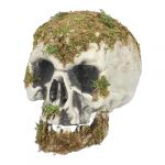 Ruedelafete Tête de mort des marais