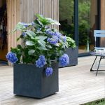 Eda Plastiques Pot carr&eacute; Basalt anthracite 49.5 x 49.5 x 49.5 cm