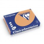 Clairefontaine 1244C - Ramette de 250 feuilles de papier Trophée caramel, A4, 120 g/m²