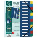 Exacompta Lot de 4 trieurs Harmonika à fenêtres avec élastiques nature future carte lustrée 24 compartiments - Bleu - 55242E