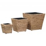 VidaXL Jardinières 3 pcs Jacinthe d'eau