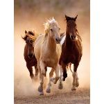 Clementoni Puzzle Running Horses 1000 pièces