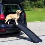 Trixie Petwalk - Rampe télescopique voiture pour chien