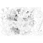 Bouchut grandremy Poster g&eacute;ant &agrave; colorier format 80 x 120 cm th&egrave;me les explorateurs