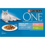 Purina ONE - Patée spéciale chats stérilisés - Pour les chats - 4x85g