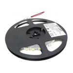 Silamp Ruban LED 5M 24V 5050 IP20 60LED/m - couleur eclairage : Blanc Froid 6000K - 8000K