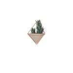 Umbra Trigg, Jardini&egrave;re Suspendue & Pot G&eacute;om&eacute;trique pour D&eacute;coration Murale - Id&eacute;al pour des Plantes Succulentes, des Plantes A&eacute;riennes, des Mini Cactus, des Fausses Plantes et Autres, R&eacute;sine B&eacute;ton/Cuivre