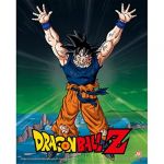 Pyramid International Dragon Ball Z - Power Level Increased - 3d Lenticular Poster 26x4