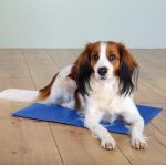 Trixie Matelas rafraîchissant pour chien 65 x 50 cm